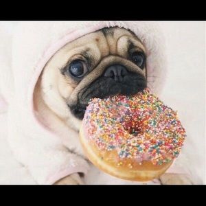 Meet your Posher, Lola